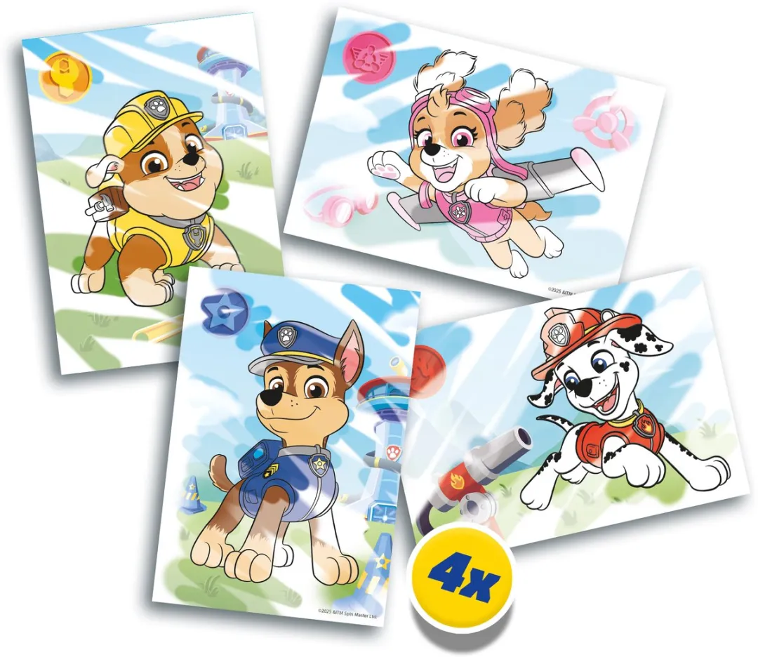 SES Creative Paw Patrol Kleuren Met Water Speelgoed - 4 Stuks