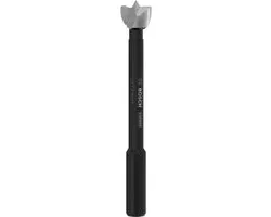 Bosch Expert Houtvoorsnijder Ø12mm