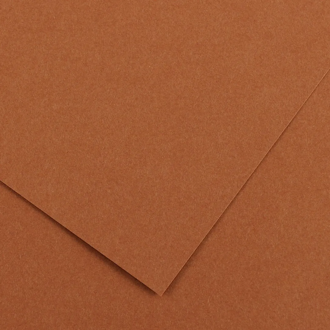 Canson Vivaldi Gekleurd Tekenpapier 500x650mm - Leer