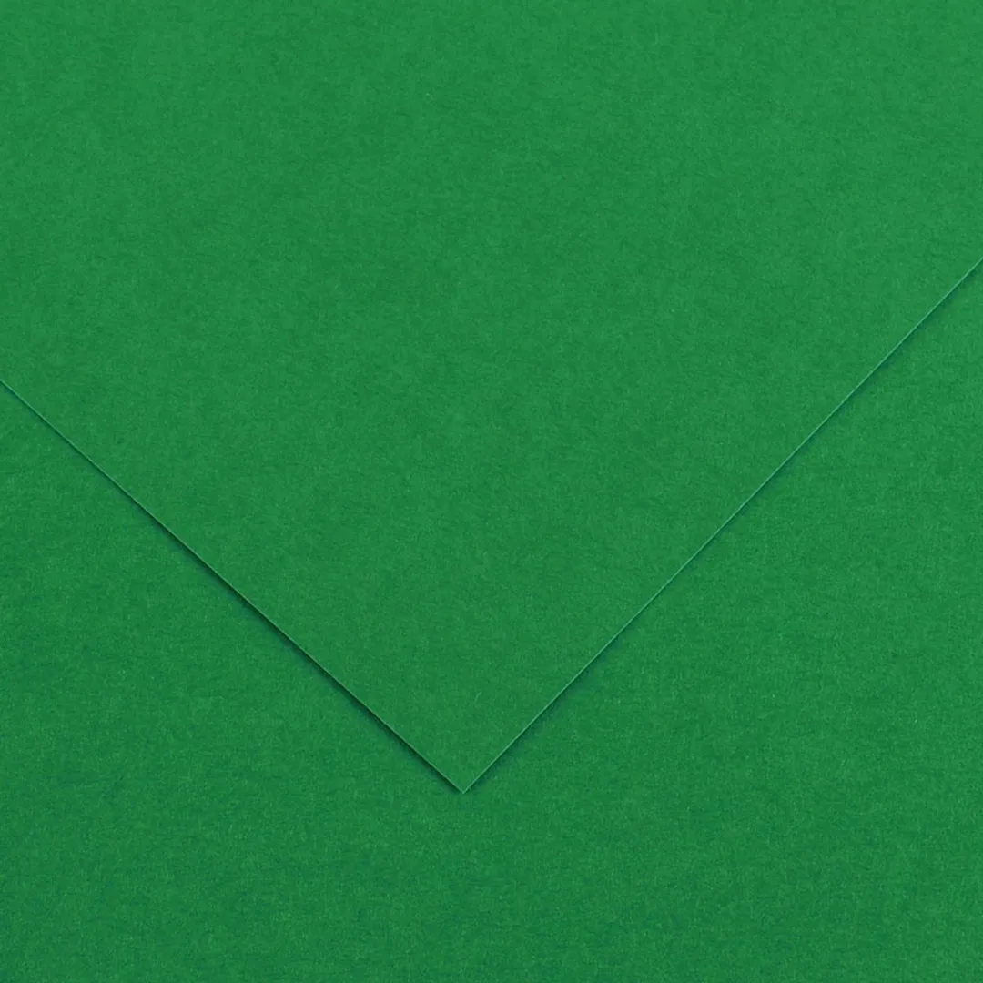 Canson Vivaldi Gekleurd Tekenpapier 500x650mm - Leer