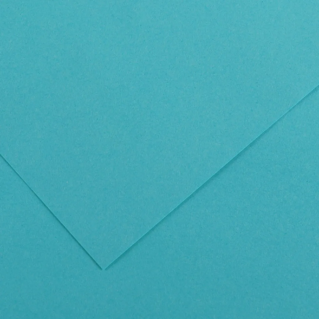 Canson Vivaldi Gekleurd Tekenpapier 500x650mm - Leer