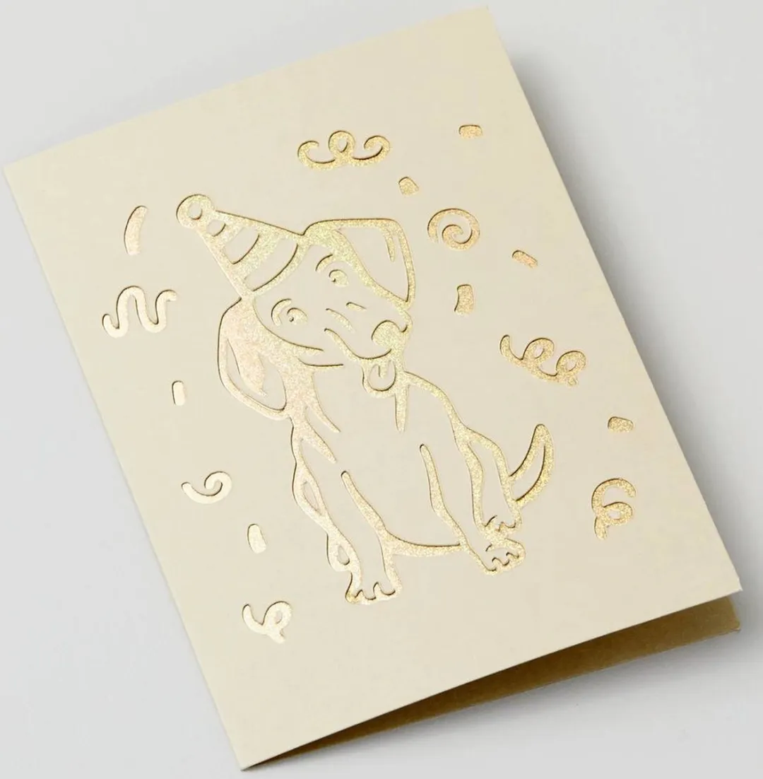 Cricut R40 Uitsnijkaarten 12 Stuks - Pastel