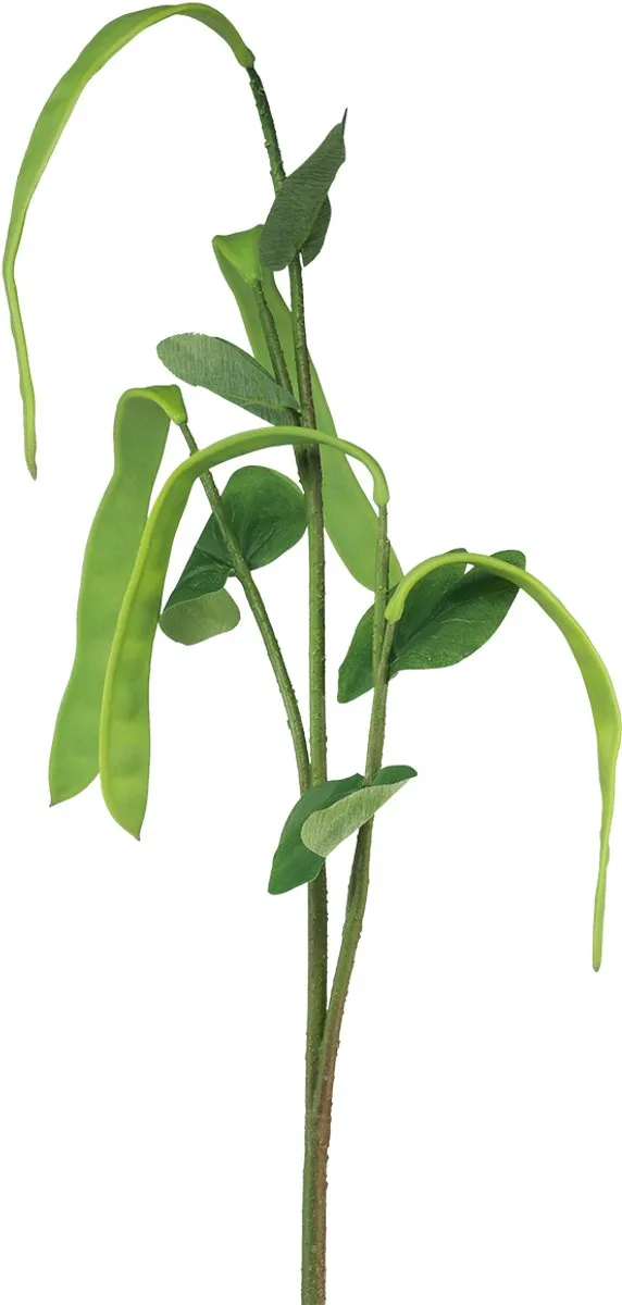 Kaemingk Kunstplant Decoratieve Bonentak 95cm