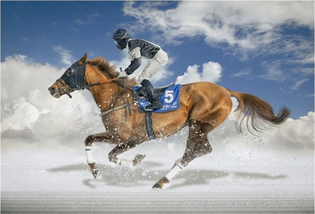 Educa White Turf Final 1500 Puzzeldelen - Multicolor