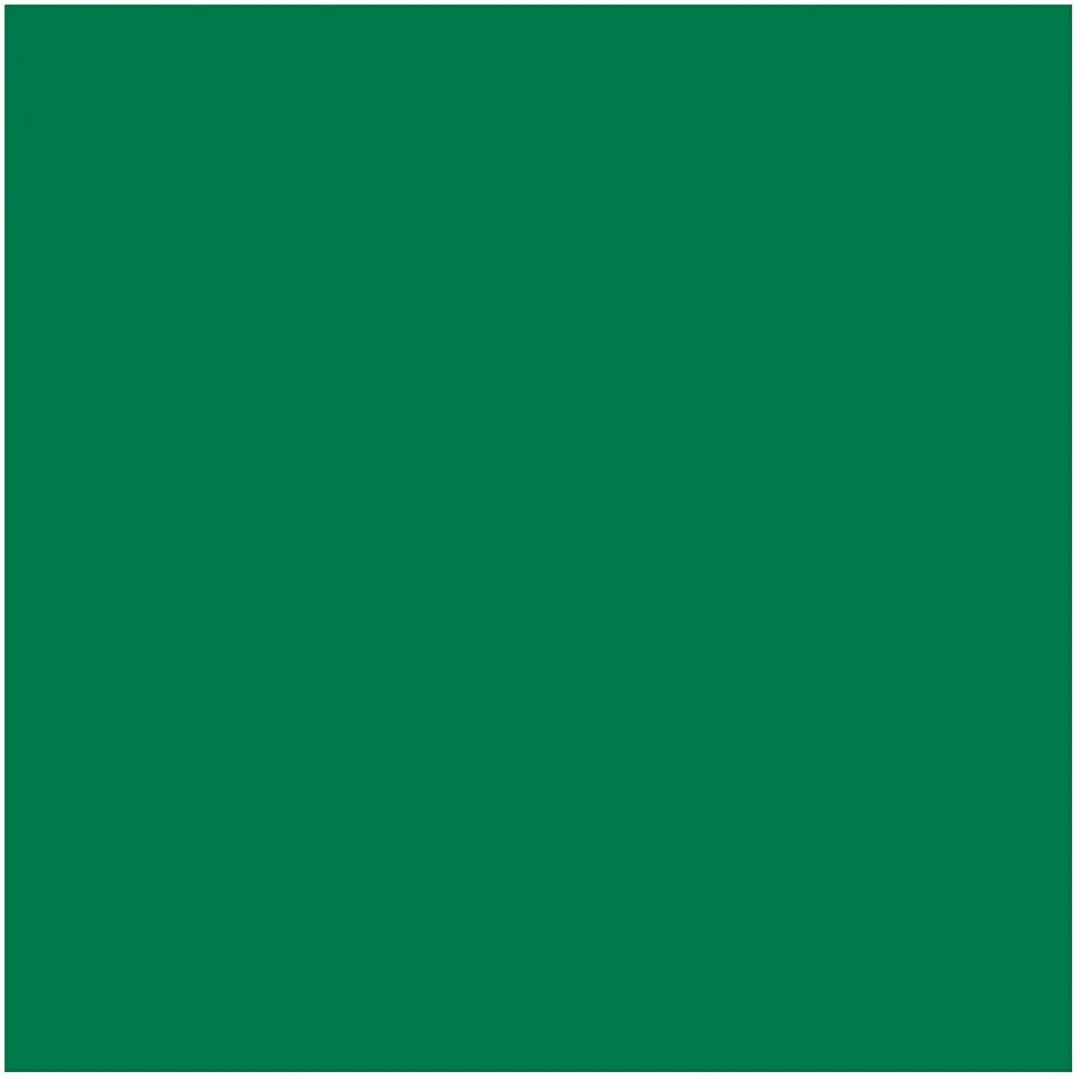 Creativ Company Tissuepapier Groen 50x70cm - 10 Vellen