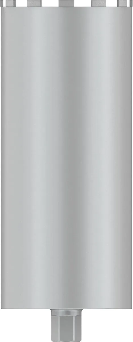 Bosch PRO Draadboren Nat 202x450mm G 1 1/4" UNC - Hout