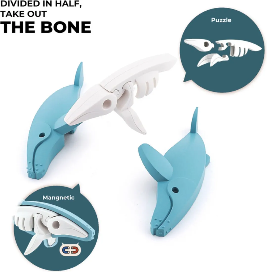 Halftoys Diorama - Humpback Whale - Magnetisch speelgoed - Walvis