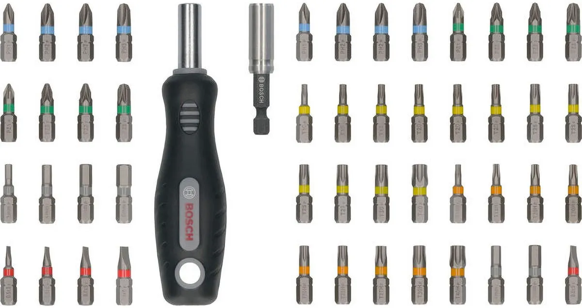 Bosch 26070 Schroevendraaierbitset - 300 Stuks (6x50)