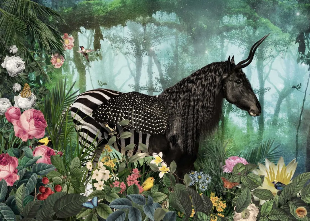 Heye Equpidae 1000 Puzzel - 1000 Stuks - Multicolor