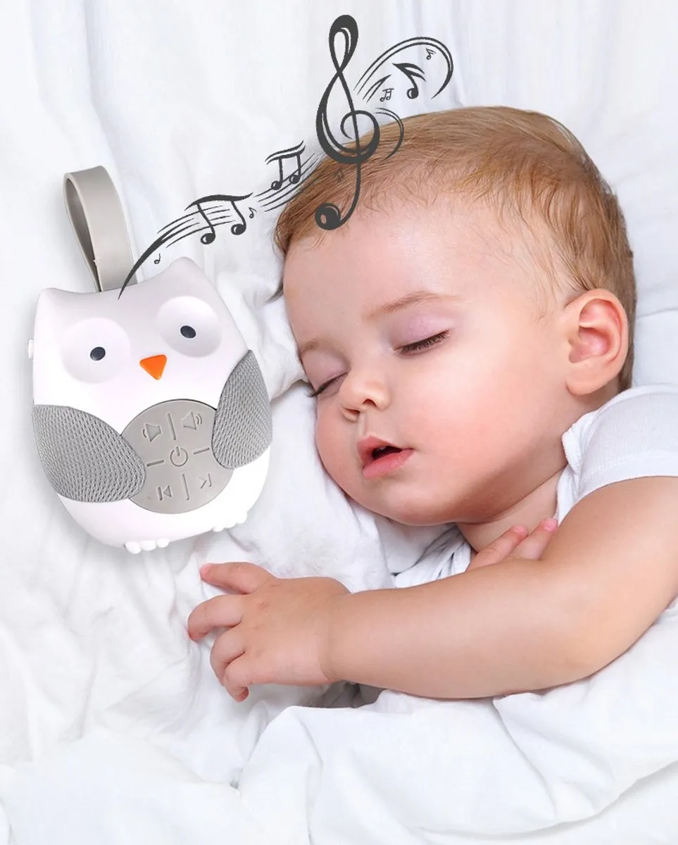 Eco Toys Uil Muziekdoosje Grijs - 3x AAA