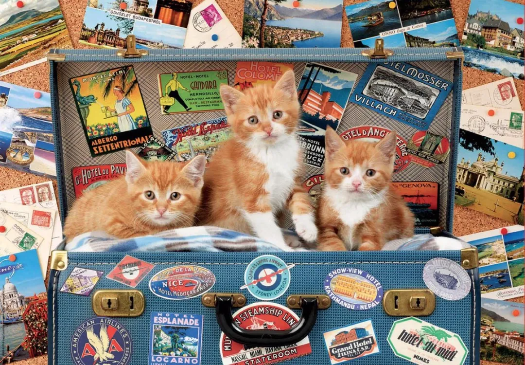 Educa Kittens op Reis Legpuzzel 200 Stuks