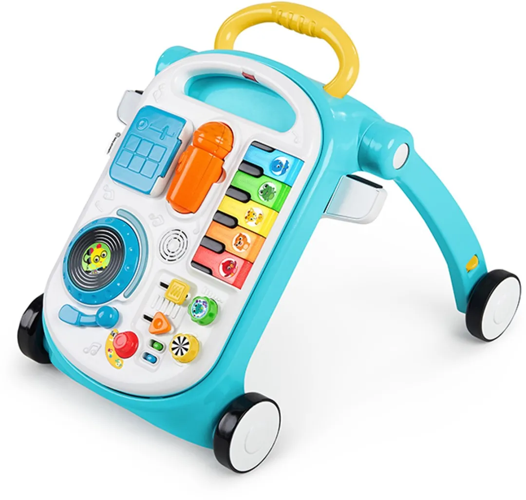 Baby Einstein 4-in-1 Musical Mix N Roll Loopauto