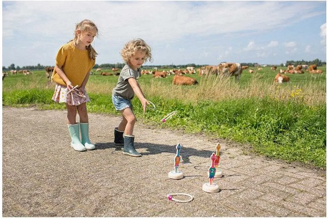 BS Toys Ringwerpen Vogels Houten Werpspel - Divers - afbeelding 6 van 6