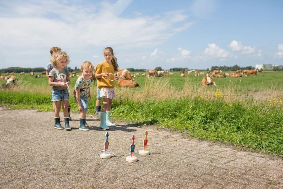 BS Toys Ringwerpen Vogels Houten Werpspel - Divers