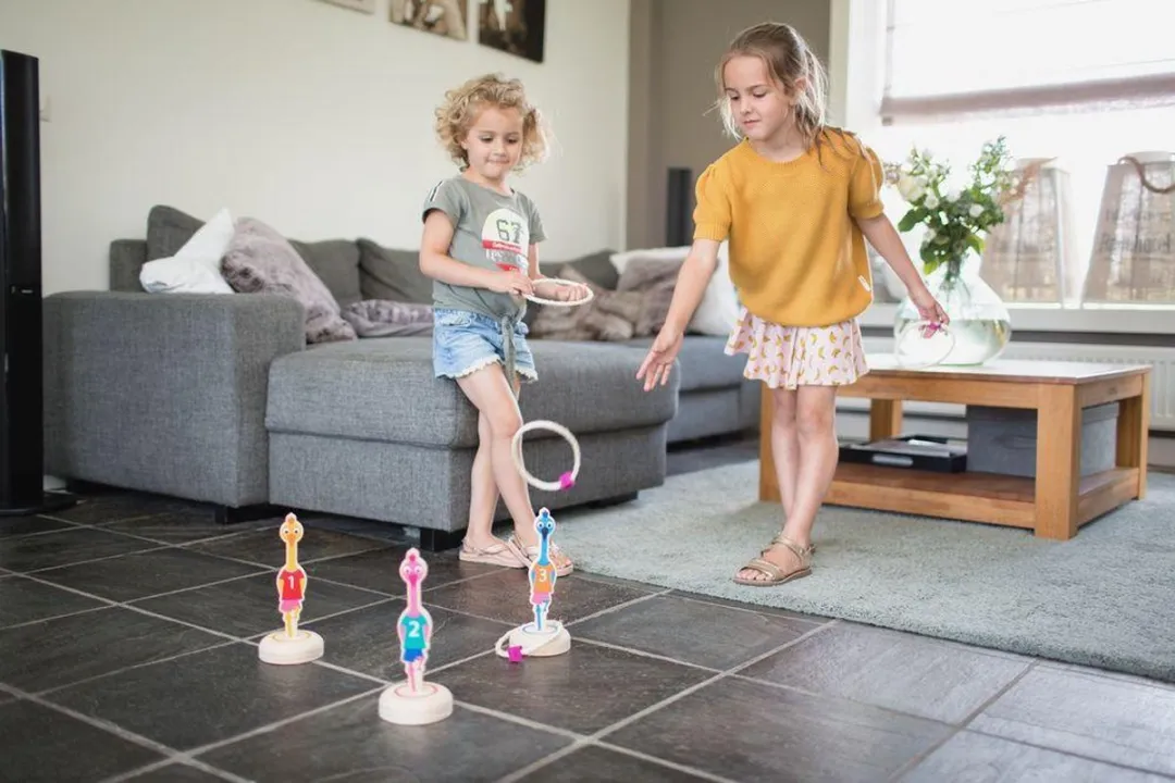 BS Toys Ringwerpen Vogels Houten Werpspel - Divers