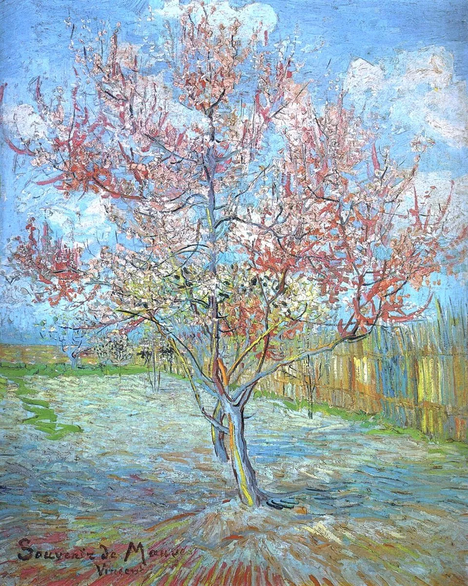 VDTOYS DIAMOND PAINTING VDTC220 Groot