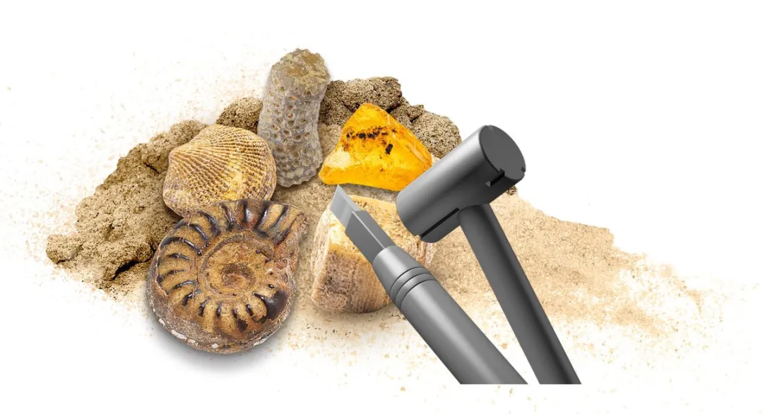 Kosmos Dig Out Fossils Experimenteerset 617226 - Fossielen opgraven - afbeelding 6 van 6