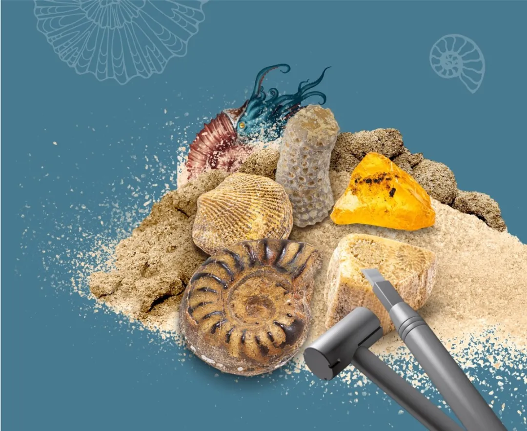Kosmos Dig Out Fossils Experimenteerset 617226 - Fossielen opgraven