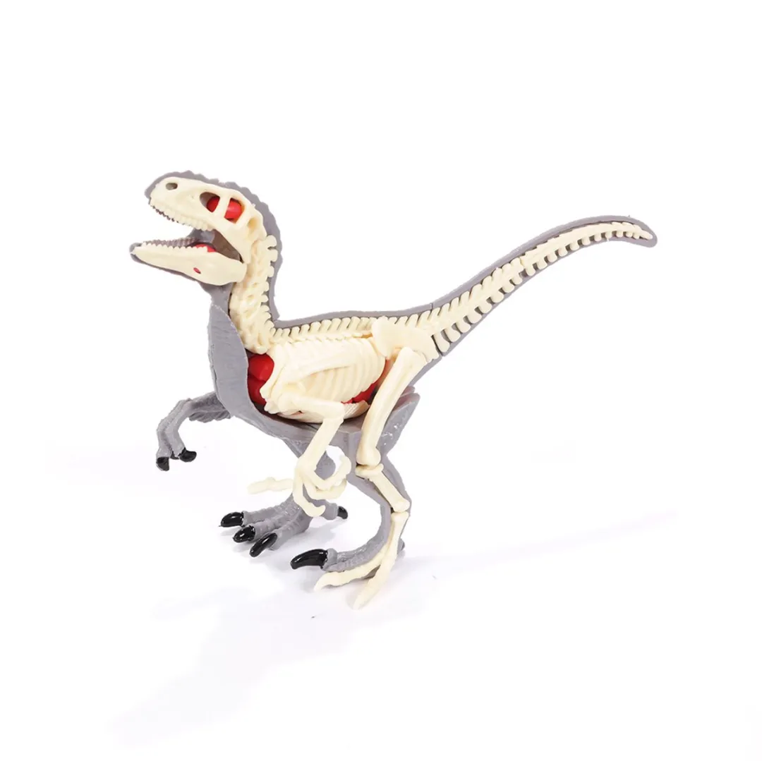 PIA Soft Toys Velociraptor 3D Anatomie Model - Grijs/Rood/Wit
