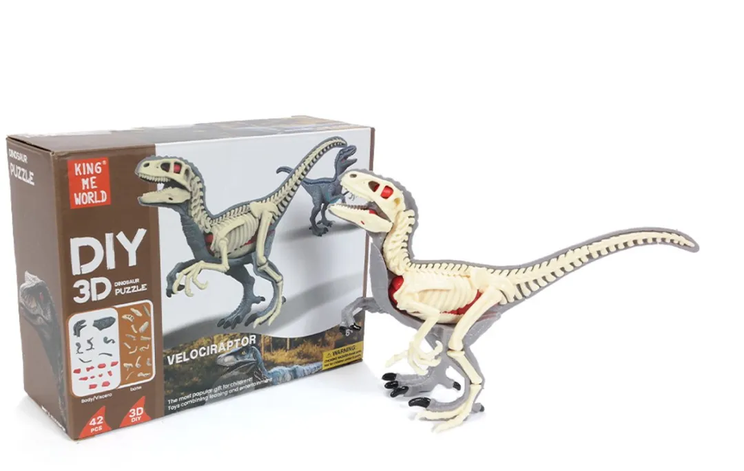 PIA Soft Toys Velociraptor 3D Anatomie Model