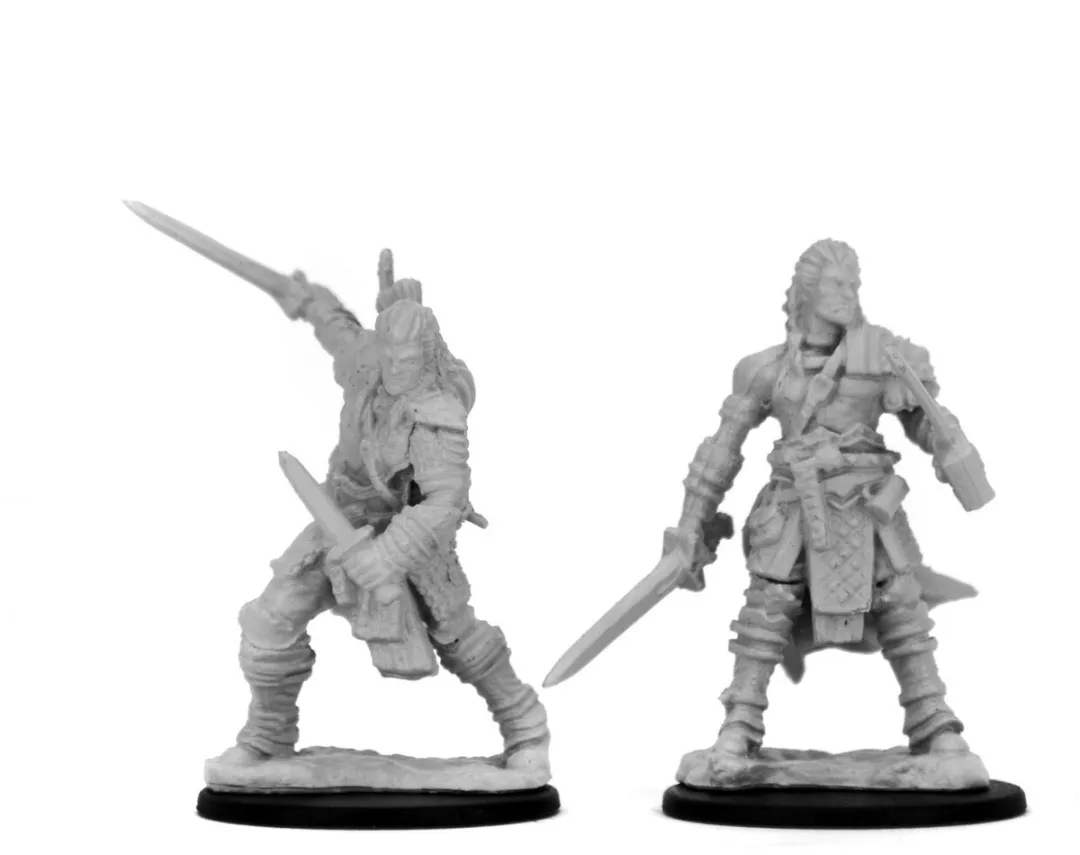 Wizkids Pathfinder Human Male Fighter