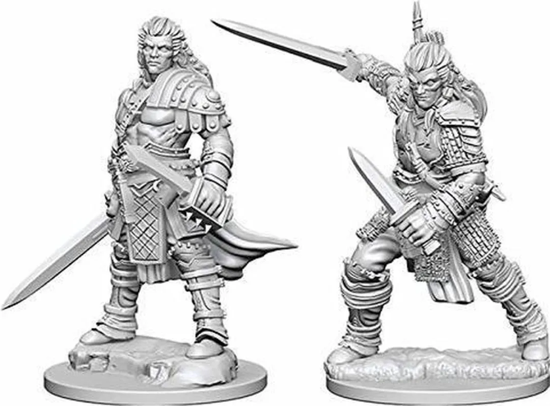 Wizkids Pathfinder Human Male Fighter - Ongeverfd