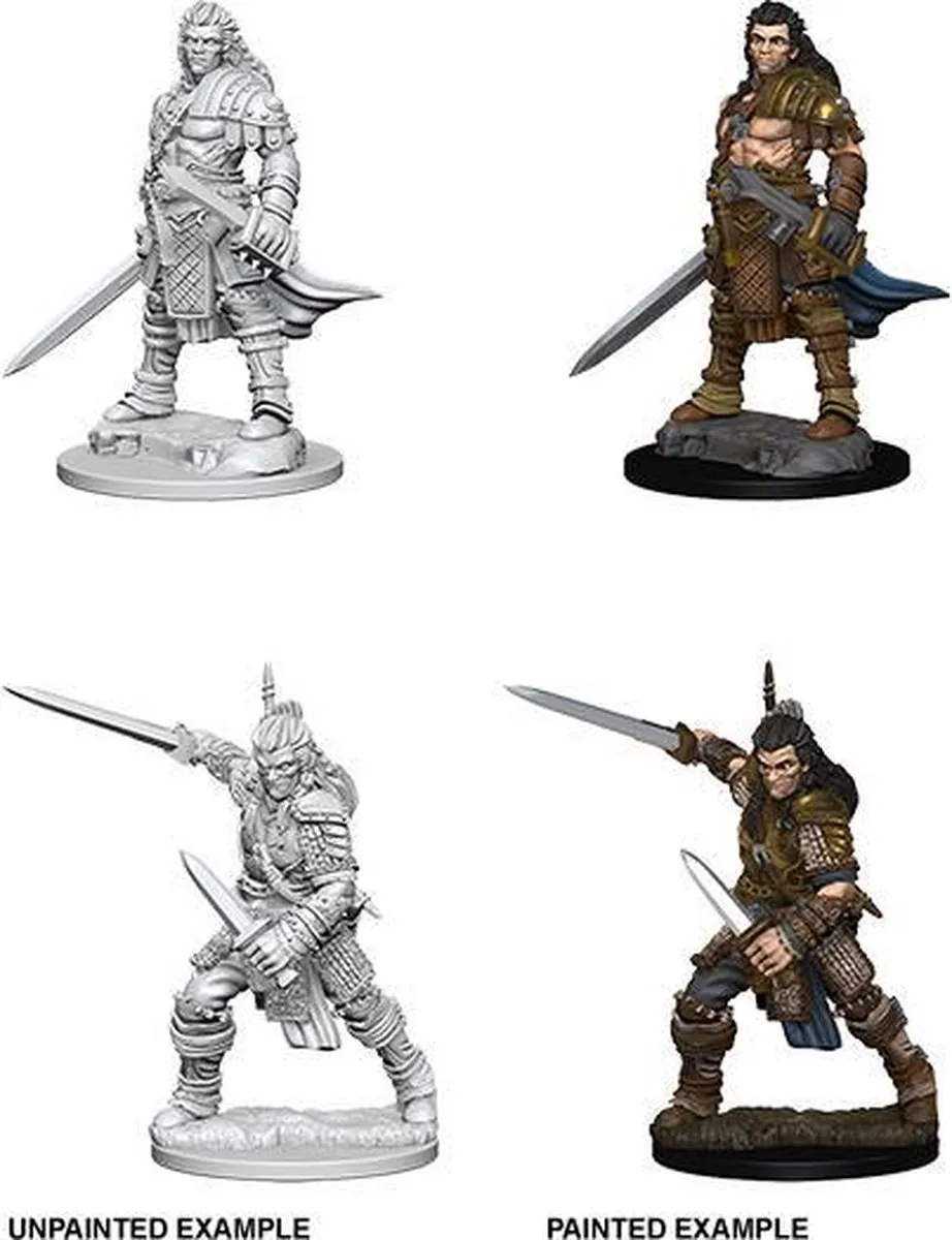 Wizkids Pathfinder Human Male Fighter - Ongeverfd