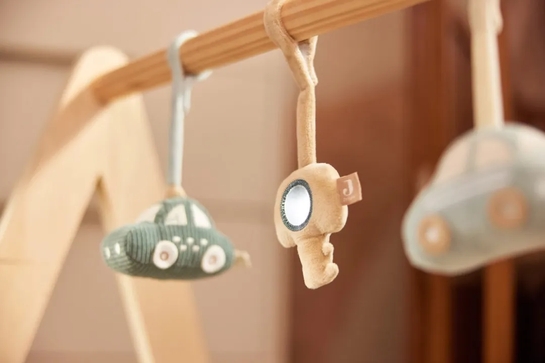 Jollein Babygym Speeltjes On the Go