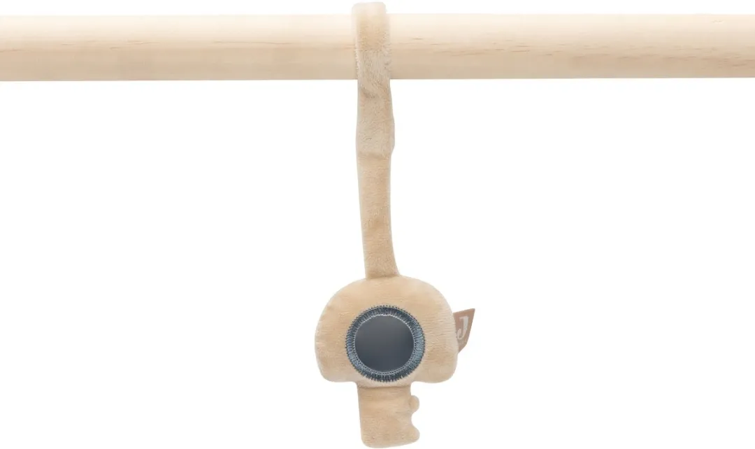 Jollein Babygym Speeltjes On the Go