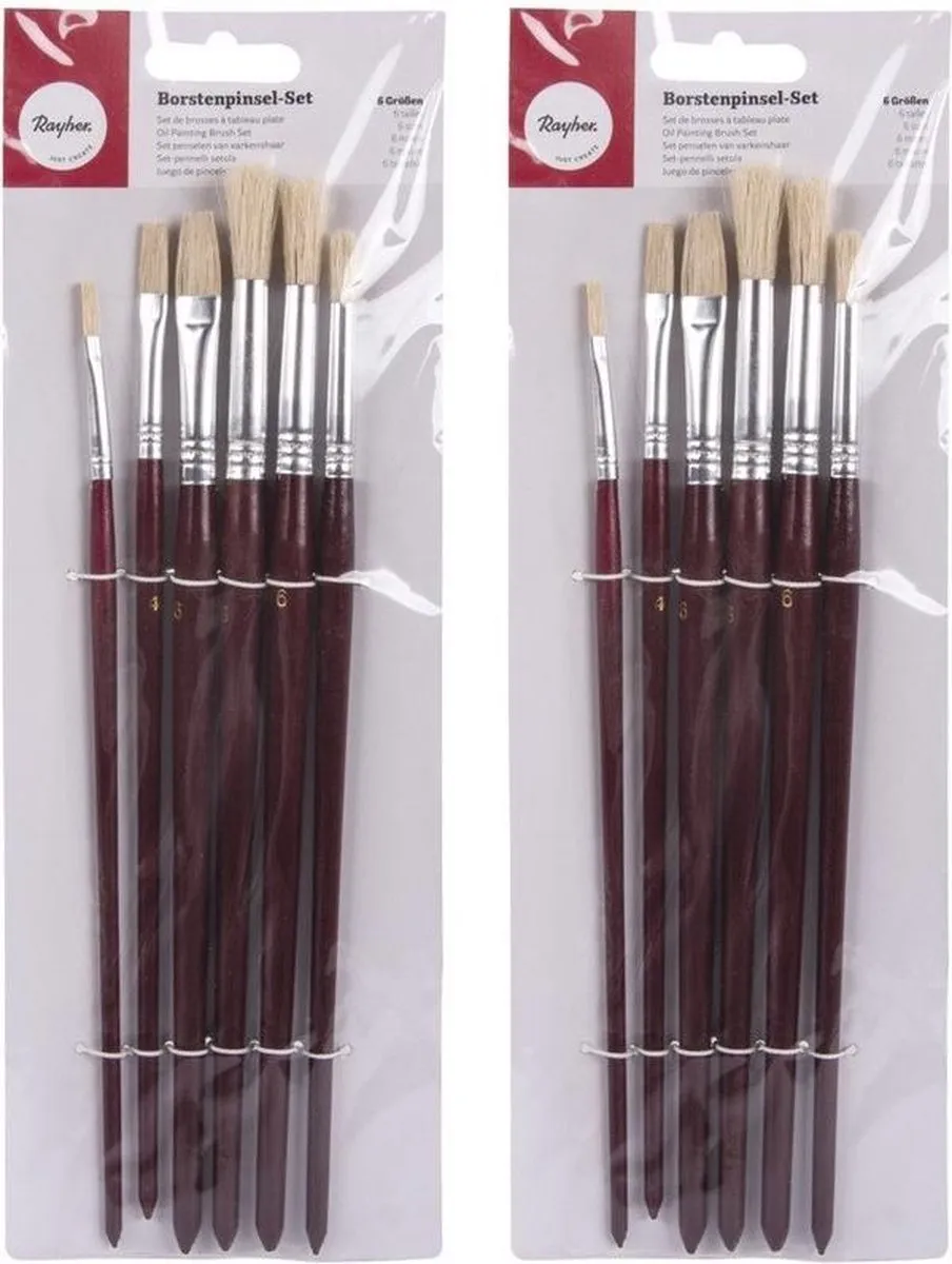 Rayher Hobby Penselen Set 12 Stuks
