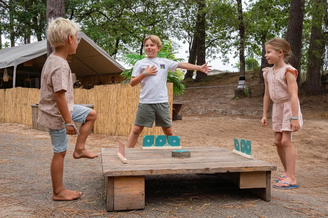 BS Toys Poseer & Combineer Spel GA548 - Bordspel - 3-4 Spelers