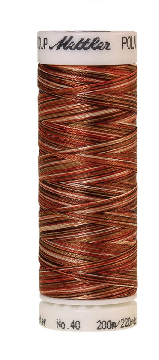 Amann Mettler Poly Multi Borduurgaren 200m - Multicolor