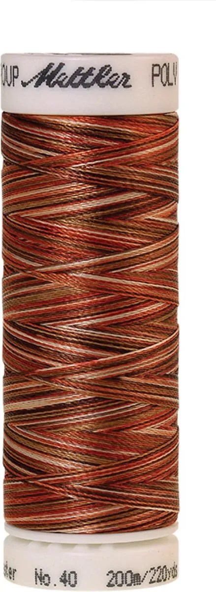 Amann Mettler Poly Multi Borduurgaren 200m - Multicolor