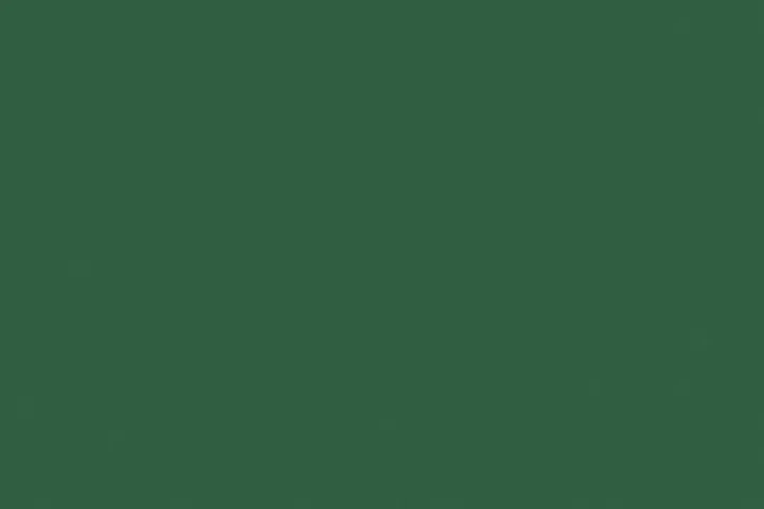 Folia Tekenpapier A4 Groen 130gr