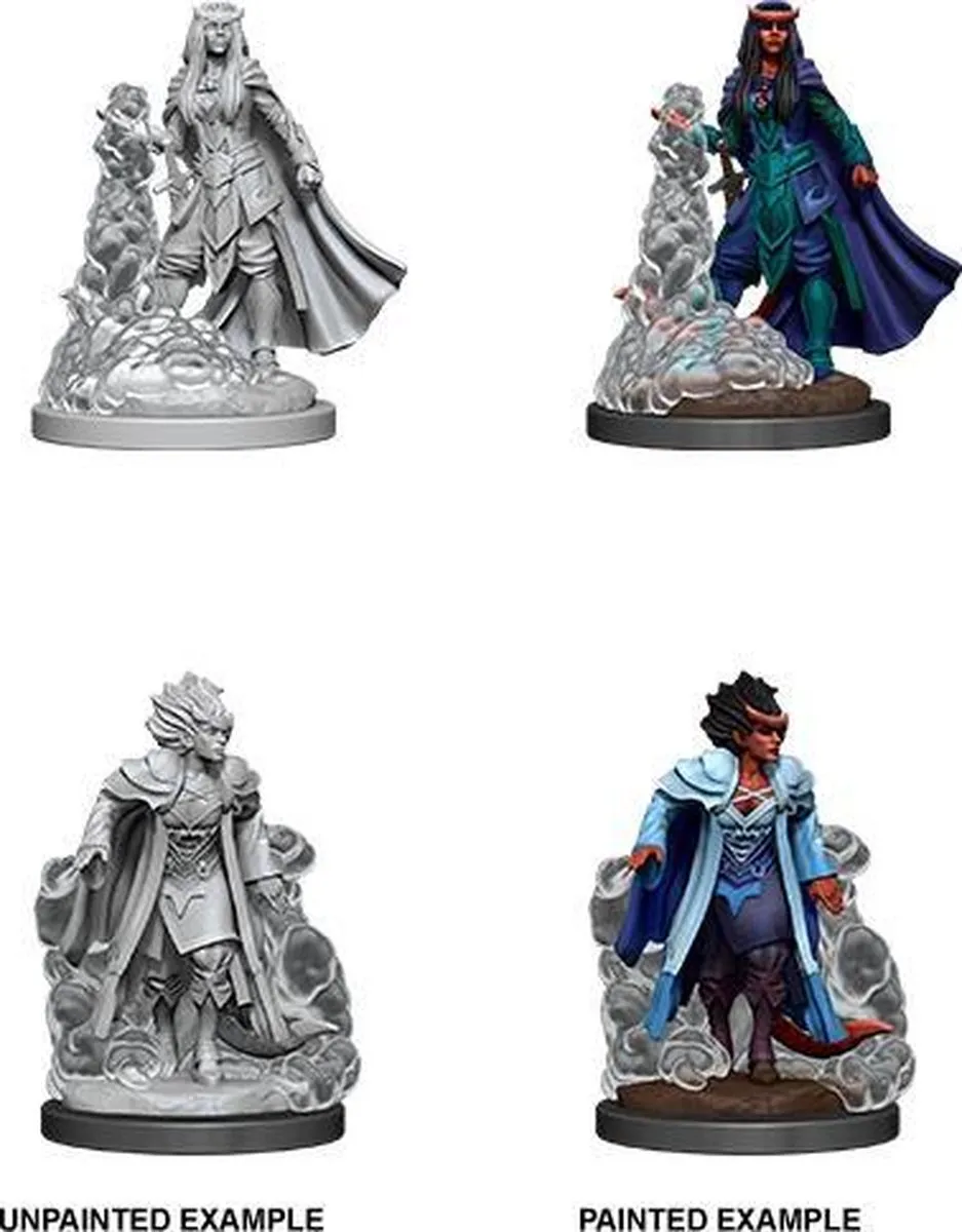 Wizkids D&D Nolzur's Marvelous Miniatures Tiefling Sorcerer Vrouwelijk 2