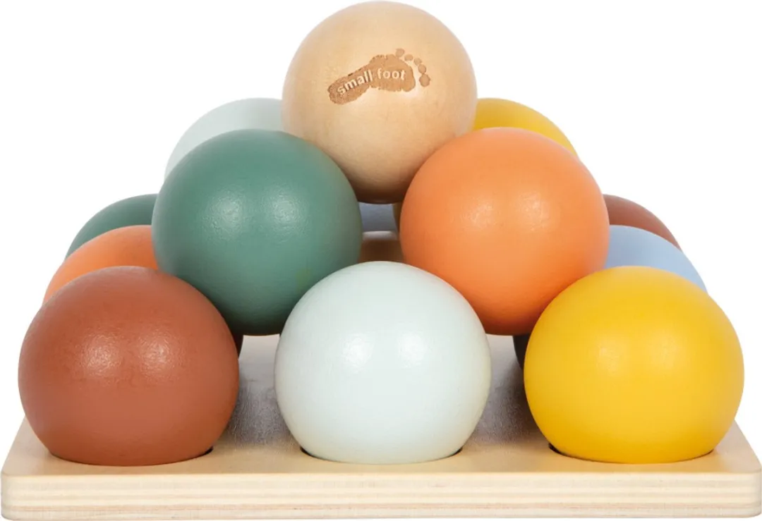 Small Foot Houten Montessori Sorteerspel - 15 Stuks - Multicolor