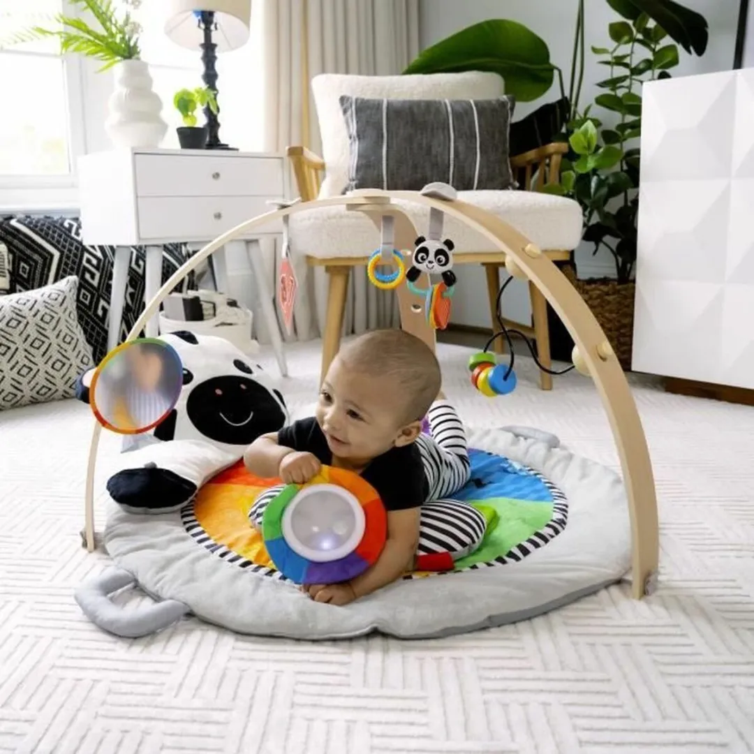 Baby Einstein Activity Gym Milestones - 10 Speelelementen - Multicolor
