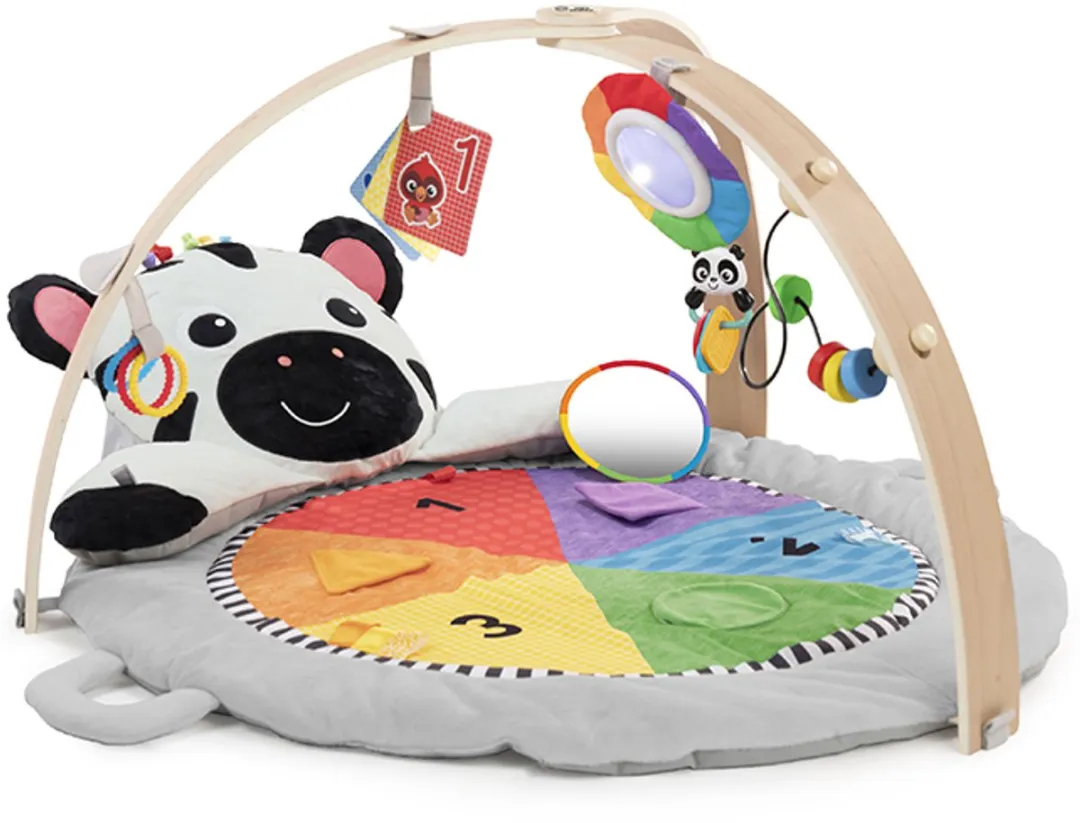 Baby Einstein Activity Gym Milestones