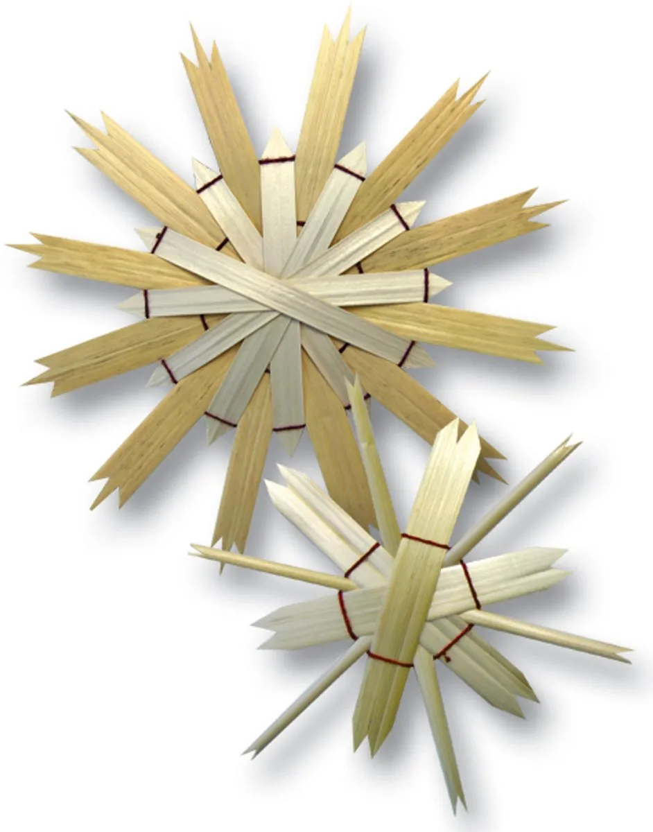 Folia Strohalmen Knutselwerkjes 220mm - 50 Stuks