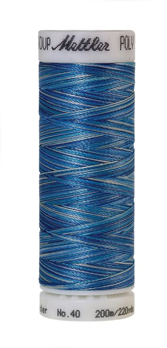 Amann Mettler Poly Multi Borduurgaren 9929 - 200m Multicolor