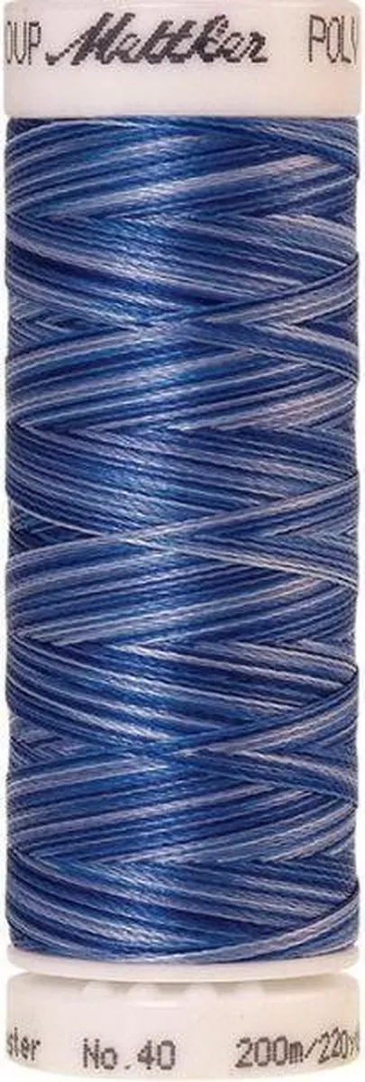 Amann Mettler Poly Multi Borduurgaren 9929 - 200m Multicolor