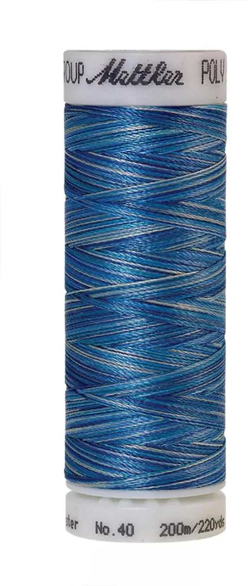 Amann Mettler Poly Multi Borduurgaren 9929 - 200m Multicolor