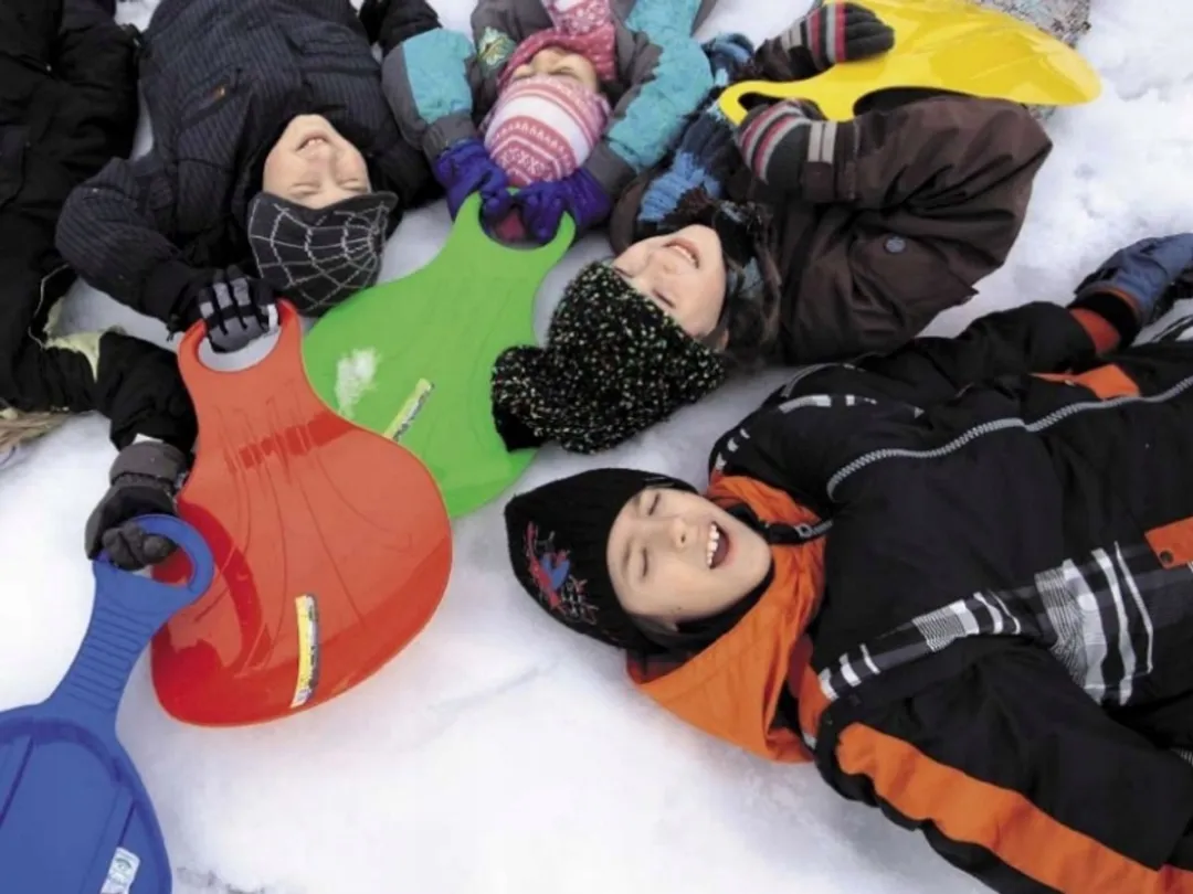 Prosperplast Sneeuwschotel Groen - afbeelding 6 van 6