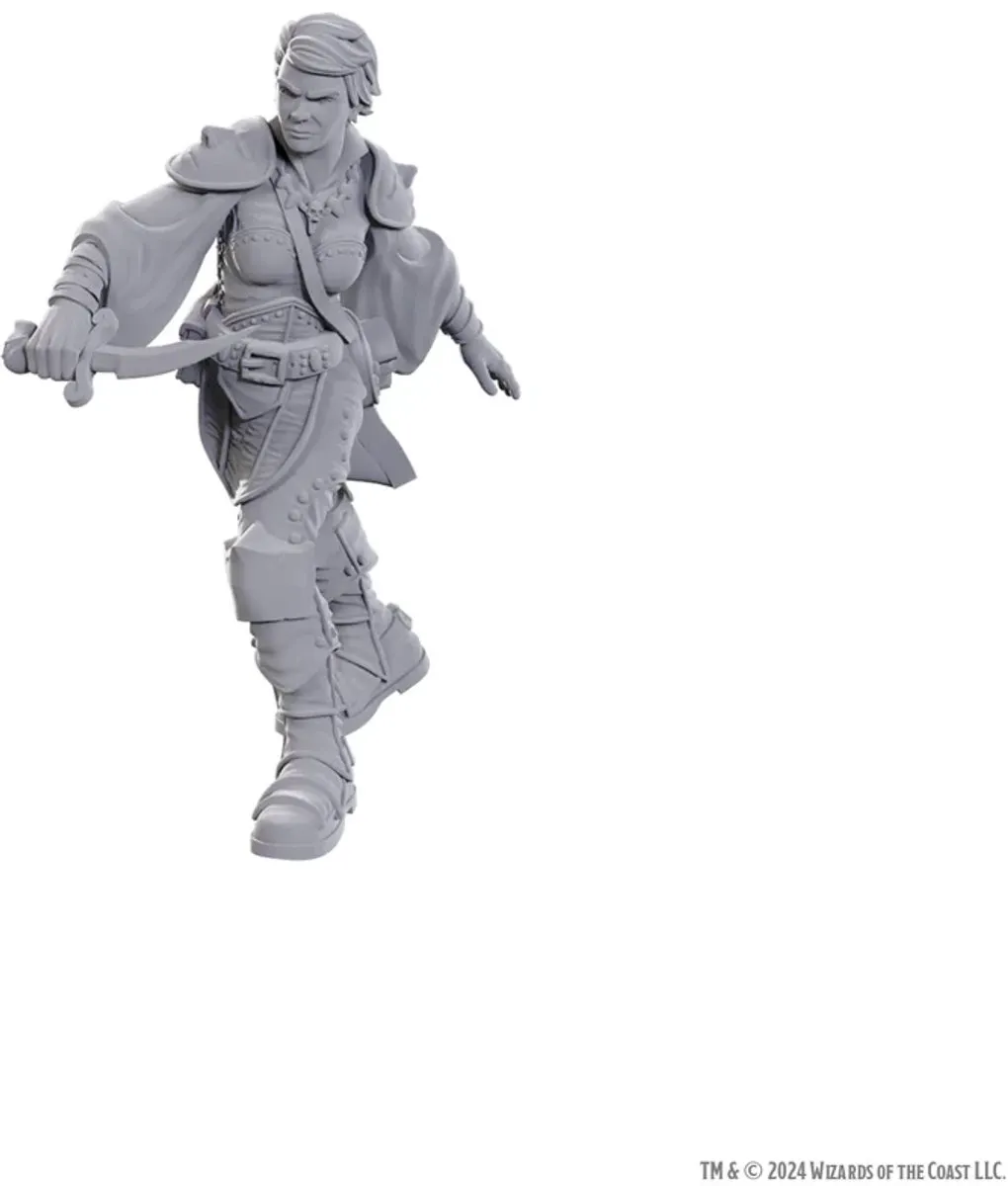 Wizkids D&D Nolzur's Marvelous Miniatures Swashbuckler