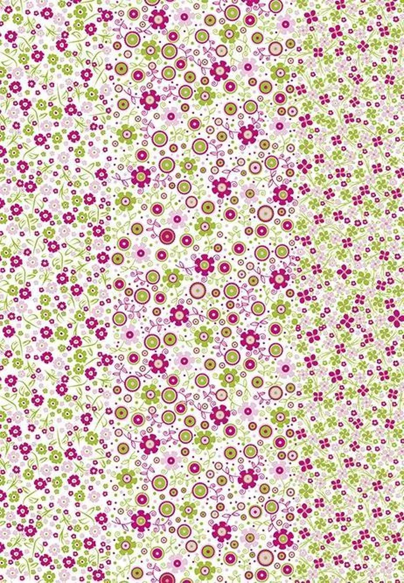 Clairefontaine FDA571O Kunst- & Knutselset Roze