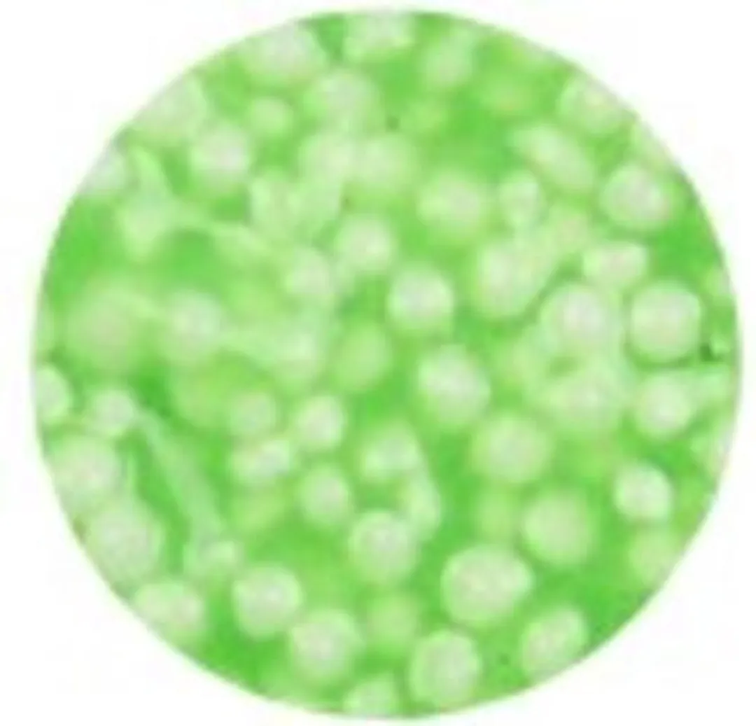 Foam Clay Neon Groen - 560 Stuks