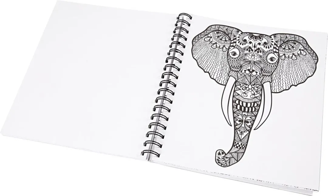 Creativ Company Natura Kleurboek Volwassenen - 64 Pagina's - Multikleurig