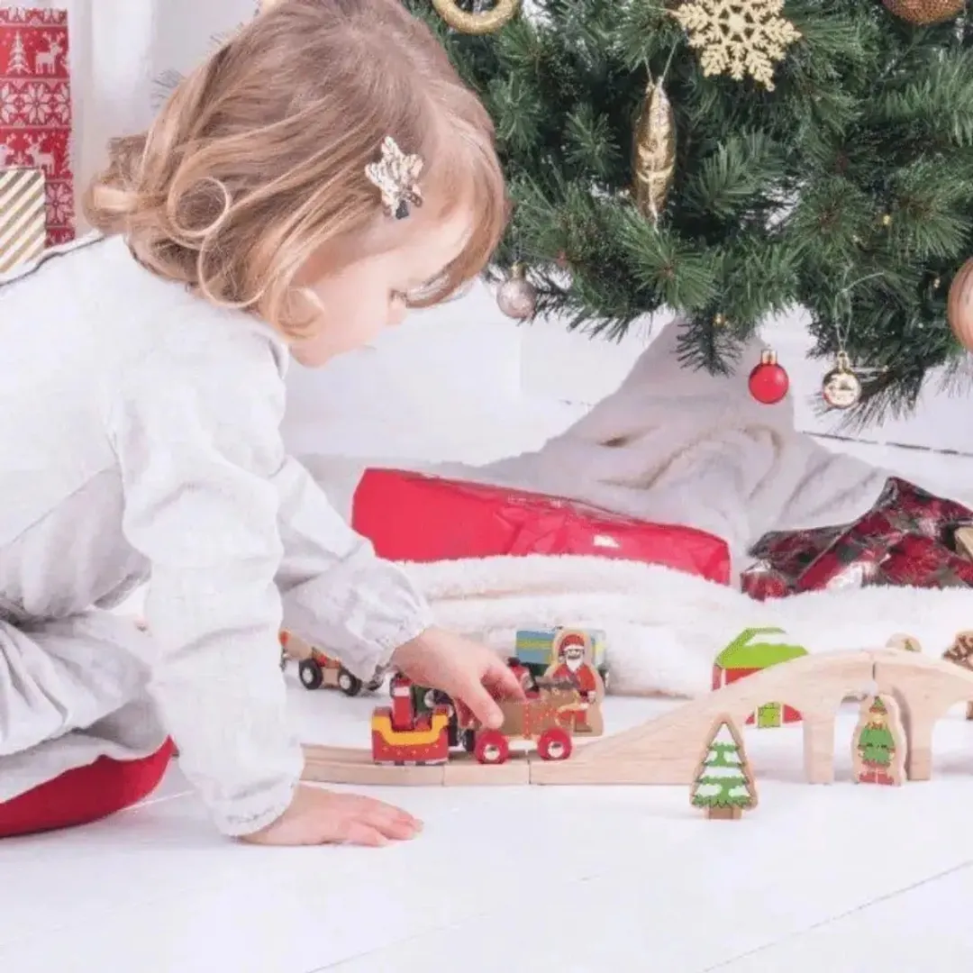 BIGJIGS Kerstman Slee met Rendieren BJT468 - Meerkleurig