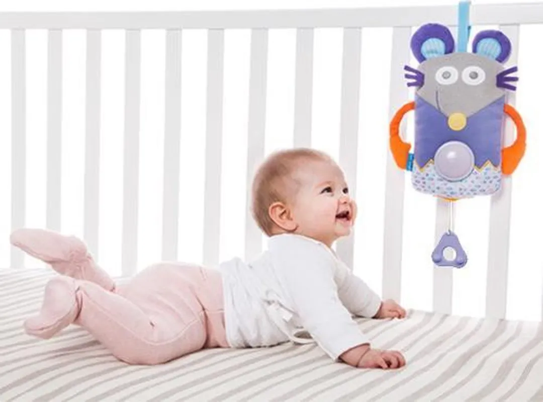 Taf Toys Nachtlampje Knuffel Muis - Multi - 3x AAA