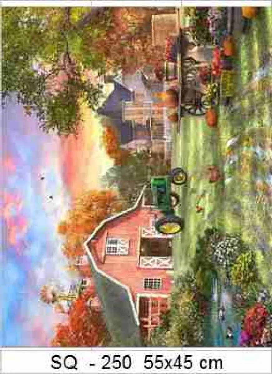 VDTOYS DIAMOND PAINTING VDTD250 Groot 45x45cm - Farm
